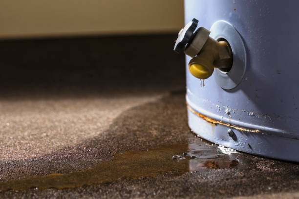 Best Water damage mitigation services  in Nampa, ID