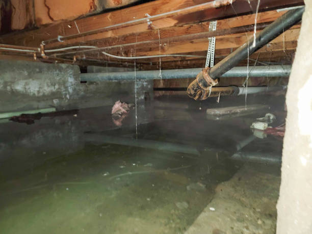 Best 24-hour water damage restoration  in Nampa, ID