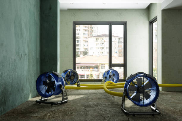 Best Emergency water damage restoration  in Nampa, ID